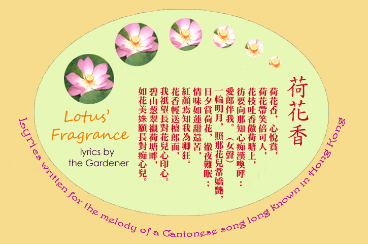 Lotus' Fragrance: a song: sound file: MP3: 2.2 MB